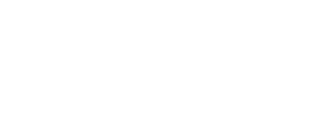 Turkish Airlines